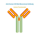 Anti-Human CD140a Monoclonal Antibody, Clone: Tovetumab