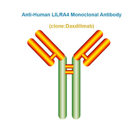 Anti-Human LILRA4 Monoclonal Antibody, Clone: Daxdilimab