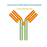 Anti-Human LILRA4 Monoclonal Antibody, Clone: Daxdilimab