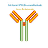 Anti-Human B7-H3 Monoclonal Antibody, Clone: Omburtamab