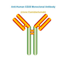 Load image into Gallery viewer, Anti-Human CD25 Monoclonal Antibody, Clone: Camidanlumab