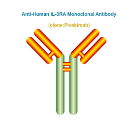 Anti-Human IL-3RA Monoclonal Antibody, Clone: Pivekimab