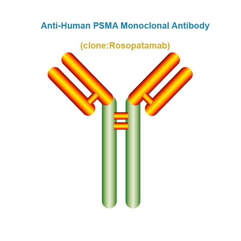 Anti-Human PSMA Monoclonal Antibody, Clone: Rosopatamab