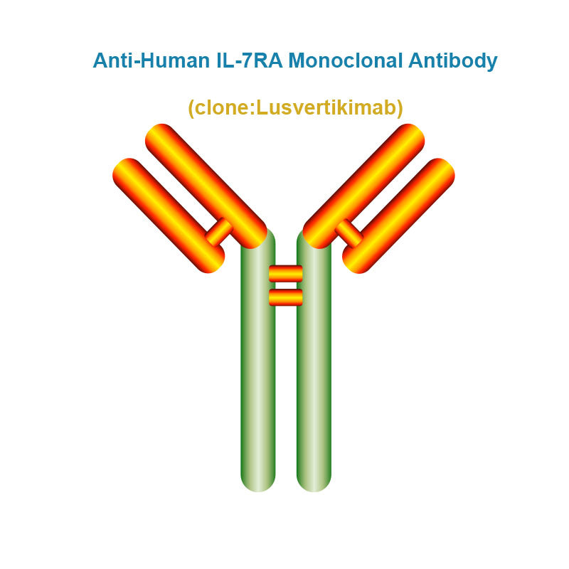 Anti-Human IL-7RA Monoclonal Antibody, Clone: Lusvertikimab