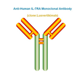 Anti-Human IL-7RA Monoclonal Antibody, Clone: Lusvertikimab