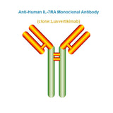 Anti-Human IL-7RA Monoclonal Antibody, Clone: Lusvertikimab
