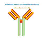 Anti-Human SARS-CoV-2 Monoclonal Antibody, Clone: Bamlanivimab