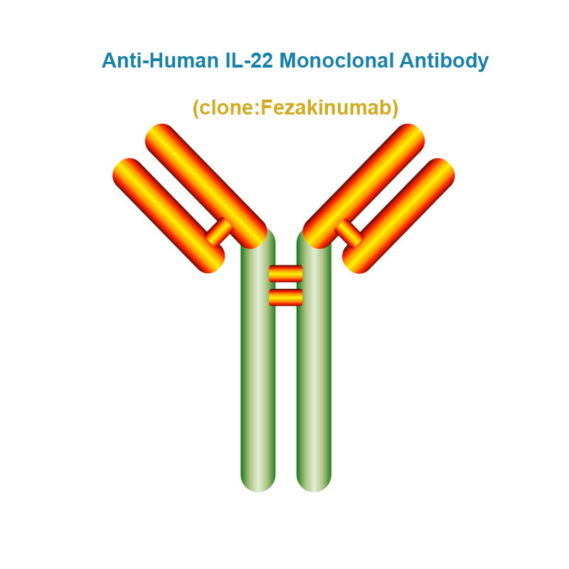 Anti-Human IL-22 Monoclonal Antibody, Clone: Fezakinumab