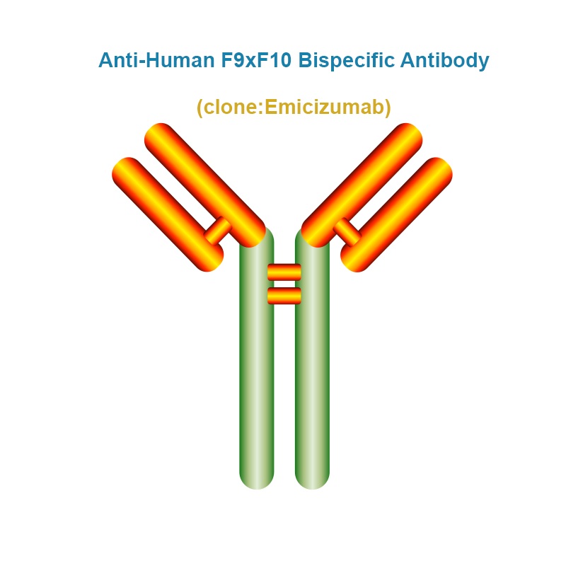 Anti-Human F9xF10 Bispecific Antibody, Clone: Emicizumab