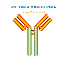 Anti-Human F9xF10 Bispecific Antibody, Clone: Emicizumab