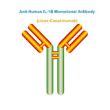Anti-Human IL-1B Monoclonal Antibody, Clone: Canakinumab