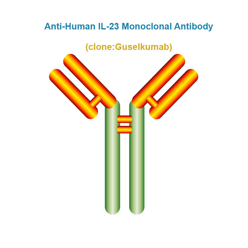 Anti-Human IL-23 Monoclonal Antibody, Clone: Guselkumab