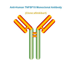 Anti-Human TNFSF15 Monoclonal Antibody, clone: afimkibart, Ships in 3-5 Weeks