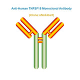 Anti-Human TNFSF15 Monoclonal Antibody, clone: afimkibart, Ships in 3-5 Weeks