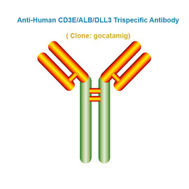Anti-Human CD3E/ALB/DLL3 Trispecific Antibody, clone: gocatamig, Ships in 3-5 Weeks