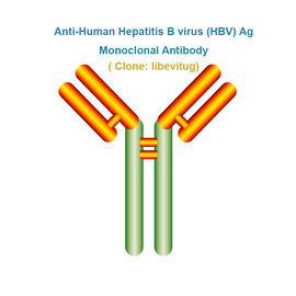 Anti-Human Hepatitis B virus (HBV) Ag Monoclonal Antibody, clone: libevitug, Ships in 3-5 Weeks