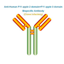 Anti-Human F11 A 2 domain×F11 A 3 domain Bispecific Antibody, Clone: lofacimig, Ships in 3-5 Weeks