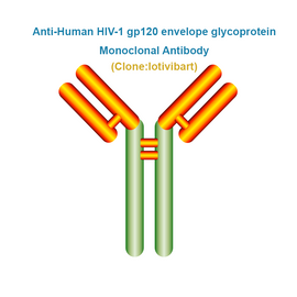 Anti-Human HIV-1 gp120 envelope glycoprotein Monoclonal Antibody  Clone: lotivibart, Ships in 3-5 Weeks