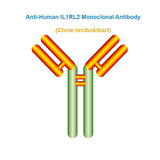Anti-Human IL1RL2 Monoclonal Antibody, Clone: recibokibart, Ships in 3-5 Weeks