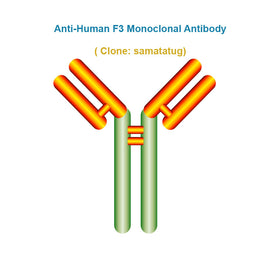 Anti-Human F3 Monoclonal Antibody, clone: samatatug, Ships in 3-5 Weeks