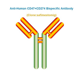 Anti-Human CD47×CD274 Bispecific Antibody, Clone: safimestomig, Ships in 3-5 Weeks