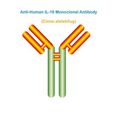 Anti-Human IL-18 Monoclonal Antibody, Clone: aletekitug, Ships in 3-5 Weeks