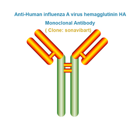 Anti-Human influenza A virus hemagglutinin HA Monoclonal Antibody, clone: sonavibart, Ships in 3-5 Weeks