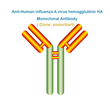 Anti-Human influenza A virus hemagglutinin HA Monoclonal Antibody, clone: sonavibart, Ships in 3-5 Weeks
