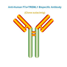 Load image into Gallery viewer, Anti-Human F7a×TREML1 Bispecific Antibody, Clone: sutacimig, Ships in 3-5 Weeks
