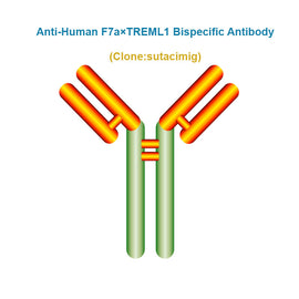Anti-Human F7a×TREML1 Bispecific Antibody, Clone: sutacimig, Ships in 3-5 Weeks