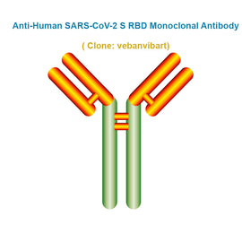 Anti-Human SARS-CoV-2 S RBD Monoclonal Antibody, clone: vebanvibart, Ships in 3-5 Weeks