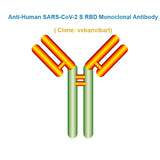 Anti-Human SARS-CoV-2 S RBD Monoclonal Antibody, clone: vebanvibart, Ships in 3-5 Weeks