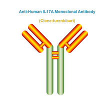 Load image into Gallery viewer, Anti-Human IL17A Monoclonal Antibody, Clone: turenkibart, Ships in 3-5 Weeks