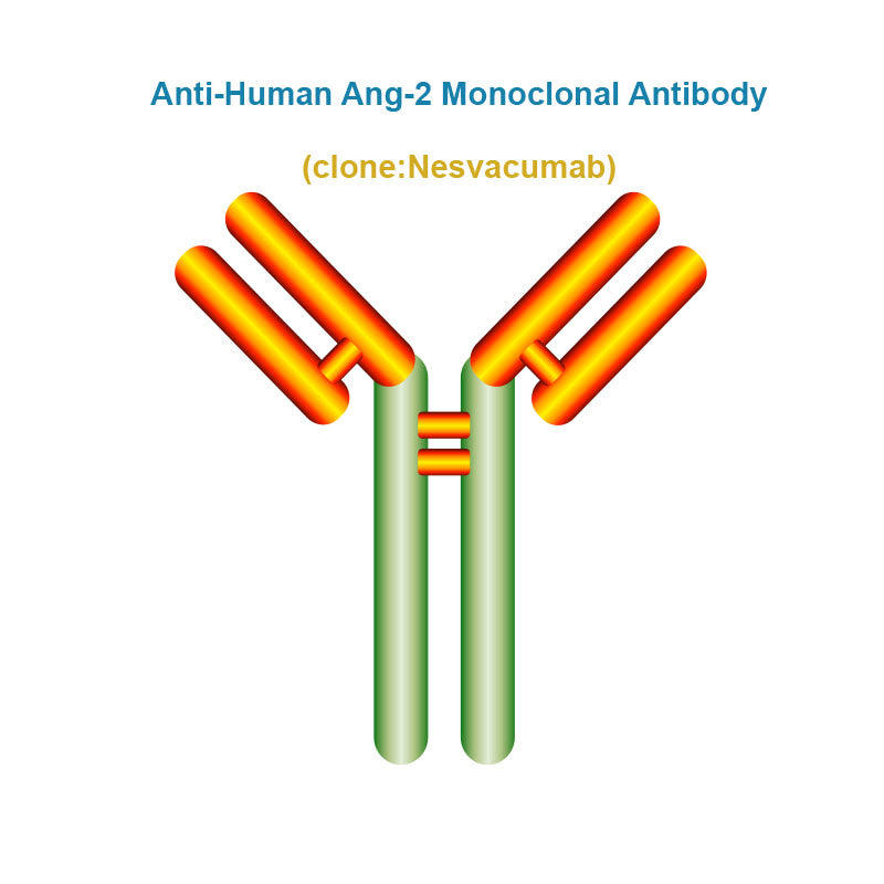 Anti-Human Ang-2 Monoclonal Antibody, Clone: Nesvacumab