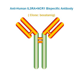 Anti-Human IL3RA×NCR1 Bispecific Antibody, clone: bexatamig, Ships in 3-5 Weeks