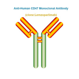 Anti-Human CD47 Monoclonal Antibody, Clone: Lemzoparlimab