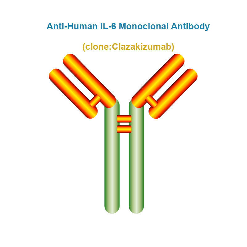 Anti-Human IL-6 Monoclonal Antibody, Clone: Clazakizumab