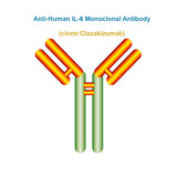 Anti-Human IL-6 Monoclonal Antibody, Clone: Clazakizumab