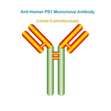 Anti-Human PD1 Monoclonal Antibody, Clone: Camrelizumab