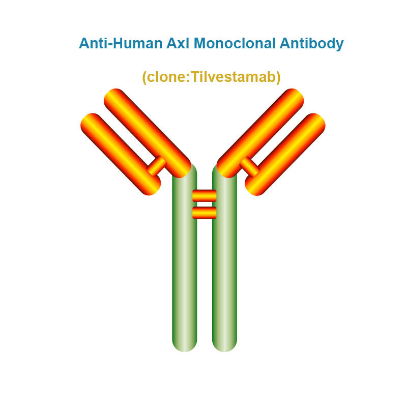 Anti-Human Axl Monoclonal Antibody, Clone: Tilvestamab