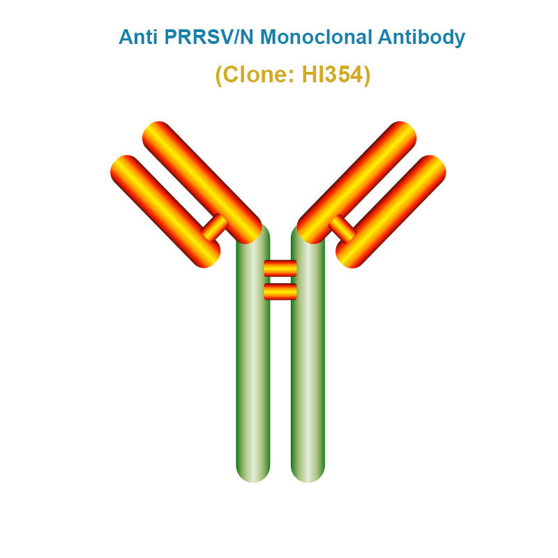 Anti Porcine Reproductive and Respiratory Syndrome Virus (PRRSV/N) Monoclonal Antibody