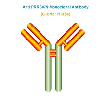 Load image into Gallery viewer, Anti Porcine Reproductive and Respiratory Syndrome Virus (PRRSV/N) Monoclonal Antibody