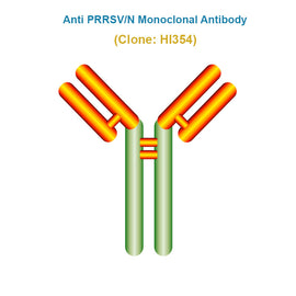 Anti Porcine Reproductive and Respiratory Syndrome Virus (PRRSV/N) Monoclonal Antibody