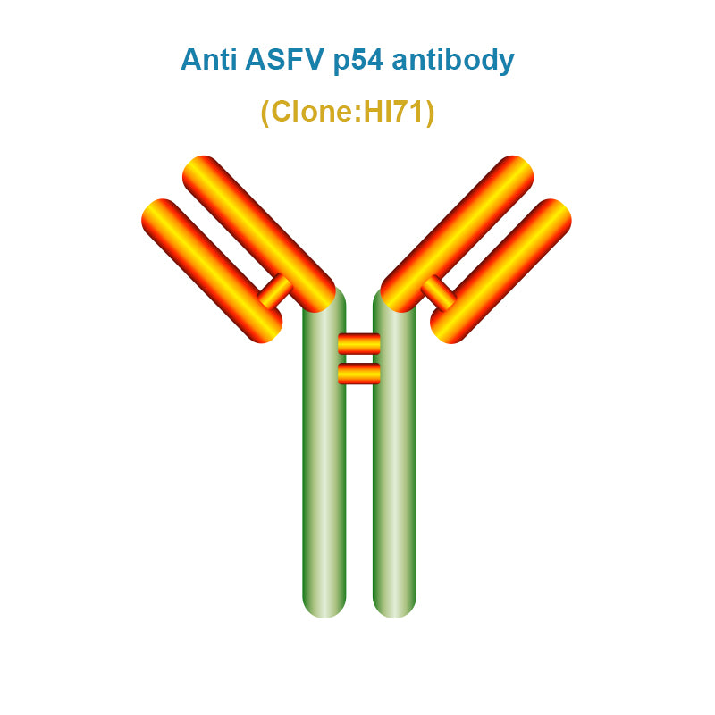 African Swine Fever Virus (ASFV) p54 Monoclonal Antibody, Clone HI71