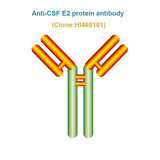 Anti Classical swine fever (CSF) E2 protein antibody