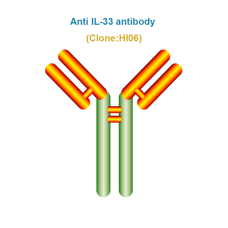 Anti IL-33 antibody, Clone HI06
