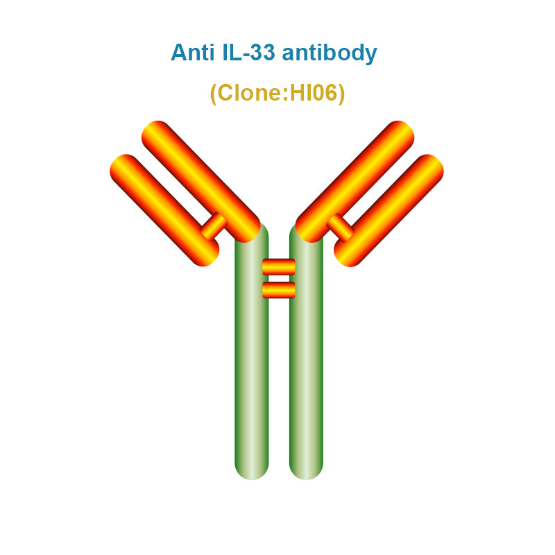 Anti IL-33 antibody, Clone HI06