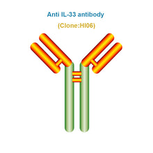 Load image into Gallery viewer, Anti IL-33 antibody, Clone HI06