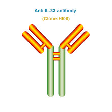 Load image into Gallery viewer, Anti IL-33 antibody, Clone HI06