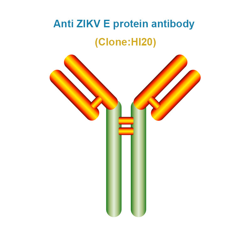 Anti ZIKV E protein antibody, Clone HI20